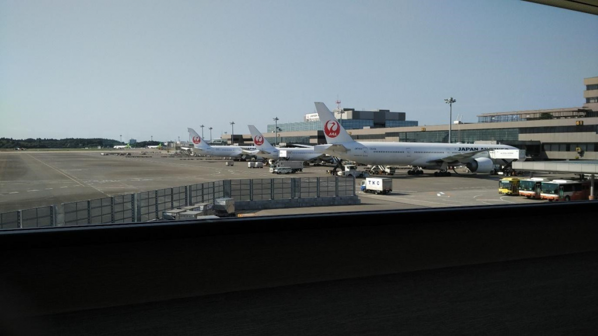 Arriving at Narita Airport