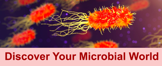 📢📢 3 Days left to Register in Discover Your Microbial World Workshop