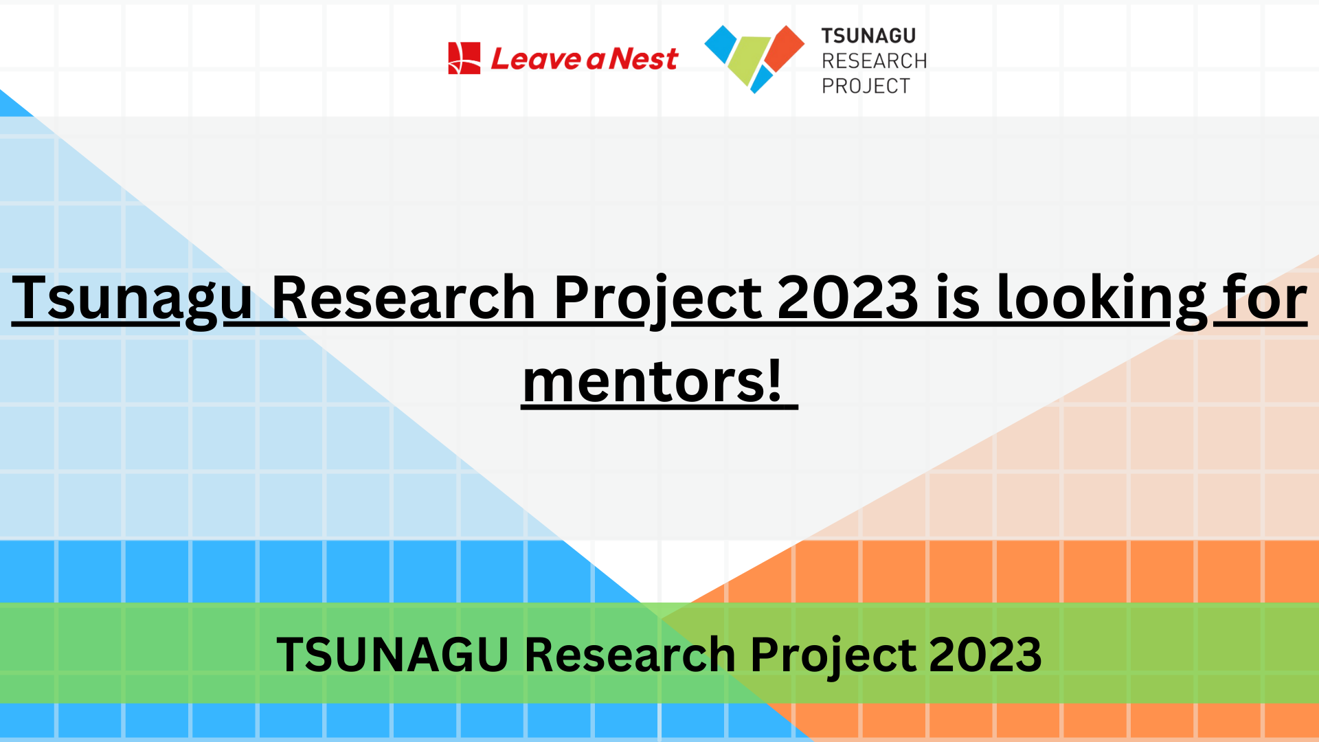 tsunagu research project 2023