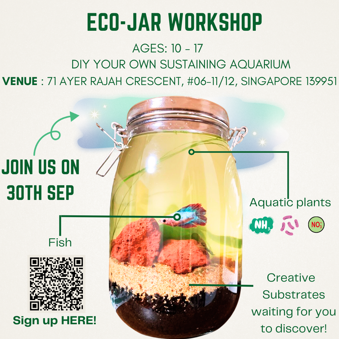 Calling for participants for Leave a Nest’s EcoJar science workshop