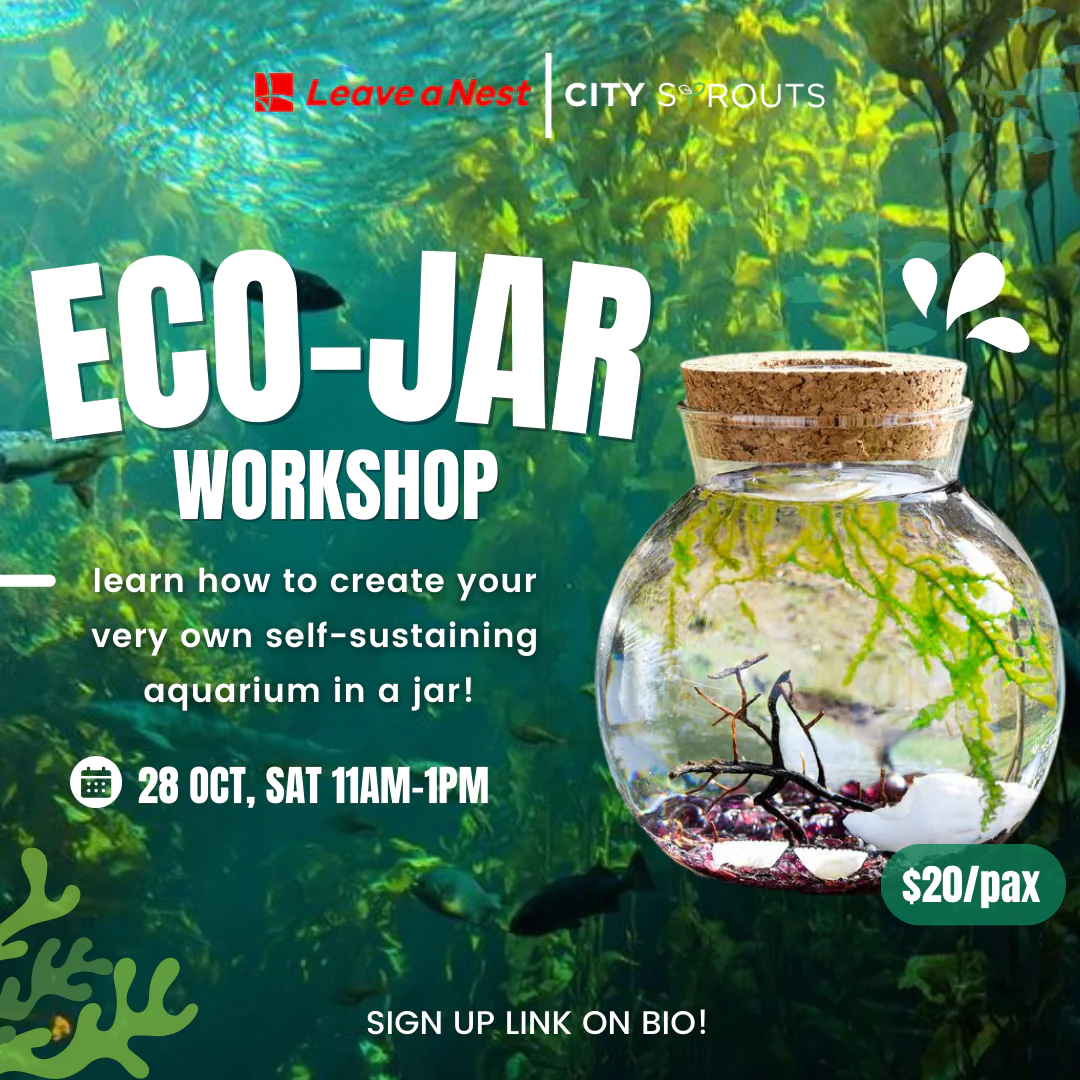 Calling for participants for Leave a Nest X City Sprouts EcoJar science workshop