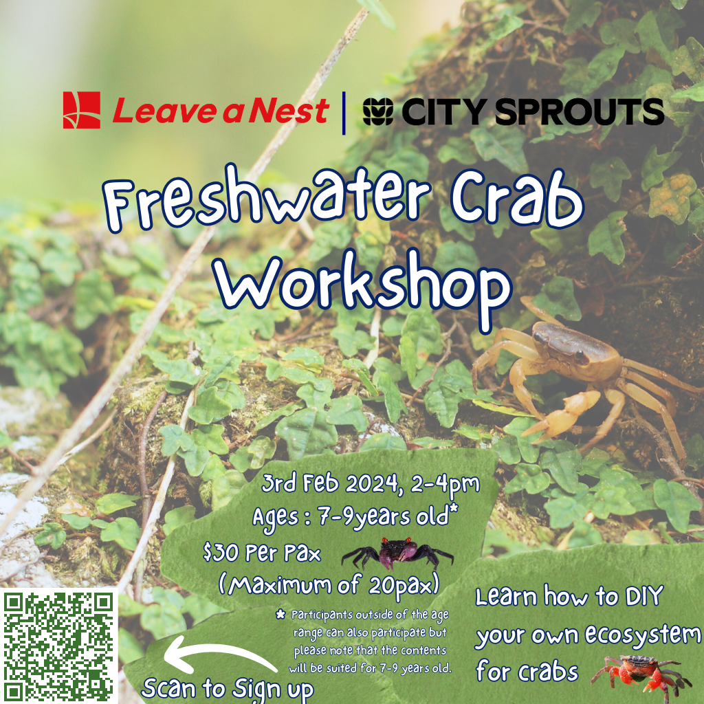 Calling for participants for Freshwater Crab Science workshop by LVNS x City Sprouts
