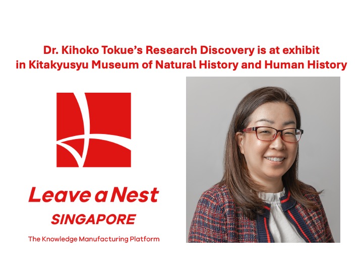 Dr. Kihoko Tokue’s discovery has been selected as exhibit at Kitakyusyu Museum of Natural History and Human History