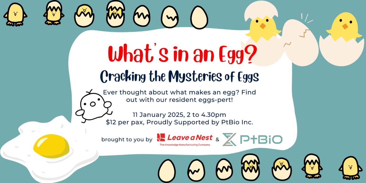 Science Workshop in Singapore: Cracking the Mysteries of Eggs!