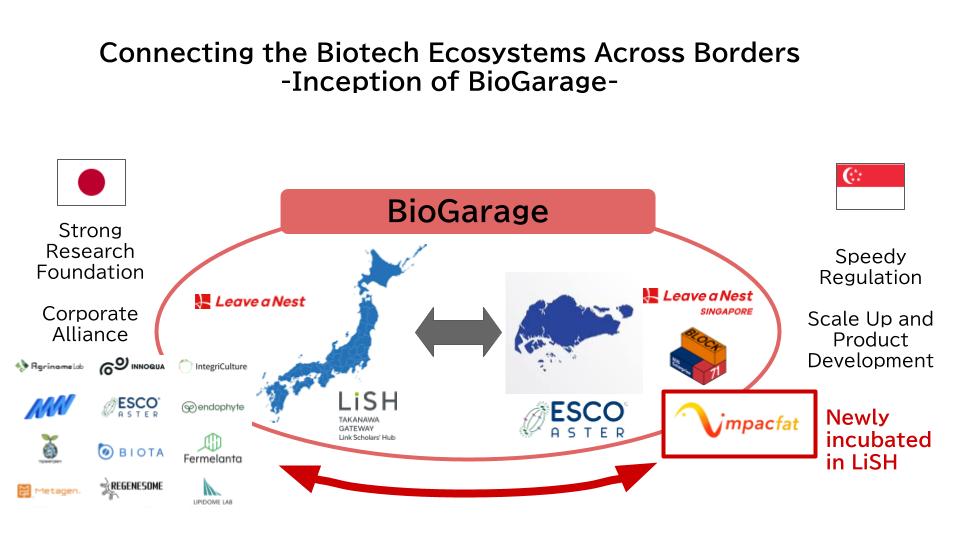 Leave a Nest Group’s 144 Ventures and Toyo Seikan Group Holdings, Ltd. Invests in Singapore Cultivated Fish Fat Startup ImpacFat 　— Launching the BioGarage Initiative to Bridge the Biotech Ecosystem Between Japan and Singapore—