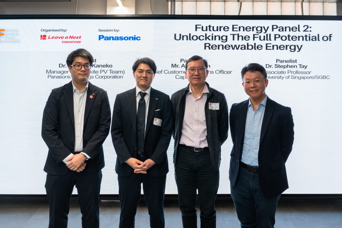 FFFS Future Energy Panel 2 Release:  Unlocking the Full Potential of Renewable Energy